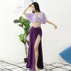 Stage Wear Summer Belly Dance Practice Suit Set Solid Color Sexy Top Mesh Jupe Hip Scarf Long