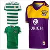 GAA All Teams Kids Home Away Jersey Fans Version Sirt 2021 22 Children Wexford Limerick Home Jerseys Youth Limerick Clinting305o