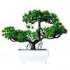 Dekorative Blumen Künstliche Pflanzen Home Decor Bonsai kleiner Baum Topf gefälschte Pflanze Steckte Ornamente Raum Tischdekoration El Garden