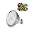 Rosną światła LED lampa fito pełna spektrum 80 W 120W 150W E27 Lekkie żarówki Fitolampa 5730 SMD 80 120 150LEDS dla siewników roślin