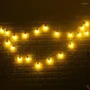 Lichterketten, 5 m, 20 LEDs, Globus-Soffittenbirne, Hochzeit, Lichterkette, Wand, Outdoor, Party, Dekoration, Garten, Straße, Weihnachten, Valentinstag