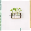 Vases Vintage Bois Stand Rack Avec Verre Tube Planteur De Table Fleur Vase Terrarium Pour Propager Des Plantes Hydroponiques Homeindustry Dhd3U