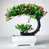 Dekorative Blumen Künstliche Pflanzen Home Decor Bonsai kleiner Baum Topf gefälschte Pflanze Steckte Ornamente Raum Tischdekoration El Garden