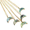 Colliers pendentifs WT-N771 gros collier d'ormeau Paua Shell bijoux style Boho