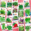 10 sortes de jardinières de graines de légumes 5000pcs 20packs lot de graines différentes nourriture chinoise très fraîche et délicieuse pour l'approvisionnement de jardin 262j