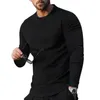 Hommes t-shirts printemps automne hommes à manches longues T-shirt col rond noir petit haut T-shirt homme Streetwear décontracté vêtements amples