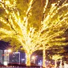Cordes 100M fée guirlande LED guirlandes lumineuses étanche pour arbre de noël mariage maison décoration intérieure Navidad Decoraciones
