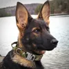 Colliers pour chiens collier tactique militaire Camouflage moyen grand pour la formation à la marche berger allemand durable