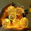 Cordes 220V 5M Métal Maille Ananas Fée Guirlande Lumineuse DIY 20 LED Fête De Noël Chambre Anniversaire Guirlande