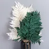 Декоративные цветы 10 шт. Высушенные цветочные листья сохранившиеся свежий альпийский материал зубов овец домашний декора