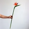 장식용 꽃 43 ''PU 대형 새 파라다이스 인공 열대 꽃 피하