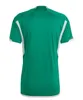 Maillot Algerie 2023 2024 2025 Version des maillots de foot