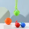 Dog Chews Training Ball Toys Tooth Cleaning Chews Ball Puppy Pet Play Trainings Rubber Chewing Toy With Rope Handle 902