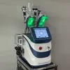 Professionale Cryo Lipo Congelamento dei grassi Macchina dimagrante Liposuzione Terapia di raffreddamento sotto vuoto Rimozione della cellulite Il peso riduce il modellamento del corpo Cavitazione Laser RF