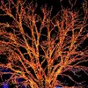 Cordes 100M fée guirlande LED guirlandes lumineuses étanche pour arbre de noël mariage maison décoration intérieure Navidad Decoraciones