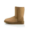 Austrália Tasman Botas Mini Botas Para Mulheres Bow Designer Australian Bailey Button Clássico Ultar Tankle Neve Inverno Bota De Pele Cheia Fofa Tazz Chinelos Peludos