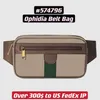 Ophidia Belt Bag 574796 Unisex 여성 남성 빈티지 허리 Bumbag Green Red Strip 및 Double Letter Hardware Logo298L