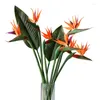 Dekorativa blommor 43 '' Pu stor f￥gel av paradiset Artificial Tropical Flower Faux Heaven Plant Party Wedding Floral Home Decor Po