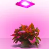 Grow Lights COB LED IP67 Impermétrique 50W Spectre complet Matière en aluminium Ultra-mince Plant de croissance des fleurs