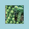 Other Garden Supplies 100Pcs/Bag Seeds Rare Mini Cabbage Vegetable Bonsai Organic Garden Vegetables 98% Germination Rate Dec Bdesybag Otdhl