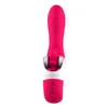 Sexspielzeug Massagegeräte 12-Gang-Rotationsbürsten Oralsex Zungenleckstab Spielzeug G-Punkt-Dildo-Vibrator für Frauen Vibrierender Klitoris-Stimulator