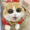 Pet Gözlüğü Güneş Gözlüğü Hip Hop Komik Kedi Köpek Güneş Moda Aksesuarları Pet Sun9284271