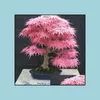 Andra trädgårdsmaterial 50st Pink Japan Maple Bonsai Tree Plant for Home Garden Beautifying Novel Sementes Semillas de Flores Bdesybag Otmf9