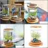 Aquariums 1 Pcs Verre Betta Fish Tank Bambou Base Mini Décoration Accessoires Rotation Bol Aquarium Y200917 Drop Delivery Homeindustry Dhrnu