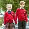 Одежда наборы детская школа детская детская британская стиль первичного класса носить детские свитера юбка для рубашки детского сада D-0621