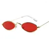 Солнцезащитные очки Hiphop Woman Oval Street показывает, что UV400 Sports Sports Dark Glass Защита глаз путешествовать отдых солнце очаровательно