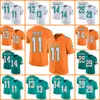 dolphins nfl