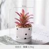 Decoratieve objecten Figurines Jieme Noordse decoratieve simulatie ornamenten kleine pot kledingwinkel woonkamer donkergroene cactus sappige planten t220902