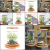 Aquariums 1 Pcs Verre Betta Fish Tank Bambou Base Mini Décoration Accessoires Rotation Bol Aquarium Y200917 Drop Delivery Homeindustry Dhrnu