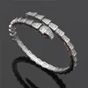 Luxury Quality Bangle Snake Bangles Designer Customized African bracelet Dubai Accessory friendship bracelets Costume Wholesale Jewelry
