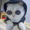 Pet Gözlüğü Güneş Gözlüğü Hip Hop Komik Kedi Köpek Güneş Moda Aksesuarları Pet Sun9284271