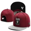 Cayler Sons Bright Ibeas Baseball Caps 2020 Fashion Hip Hop Men Women Summer Style Bone Snapback Hats281d