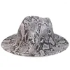 Bérets Fedora Chapeau Femmes Hommes Serpent Imprimer Large Bord Panamas Bleu Jaune Noir Chapeaux Feutrés En Plein Air Casual Jazz Caps Hiver