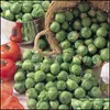 Other Garden Supplies 100Pcs/Bag Seeds Rare Mini Cabbage Vegetable Bonsai Organic Garden Vegetables 98% Germination Rate Dec Bdesybag Otdhl