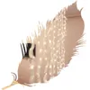 Strings Curtain LED String String Feather Star Lighting Girl Heart Room Decoração Holidamente