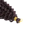 14 Inch Short Marlybob Water Wave Crochet Hair Ombre Kinky Curly Braids Synthetic Jerry Braiding for Black Women BS22