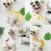 Ubrania z odzieży dla psa sukienka księżniczka owoce letnia cienka sekcja spódnica chihuahua kwiatowy moda