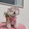 Hundekleidung Ins Frühlings- und Sommermädchen -Spitzenrock mit Hut Kopfschmuck Haustierkleid süße Prinzessinstil Tutu bestickt