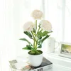 Dekorativa blommor Creative Five-Head Peony Bonsai Fake Flower Indoor Decoration Artificial Simulation Plant