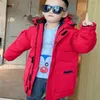 Diseñador Niños Niñas Abajo Abrigo de calidad superior Niños con capucha acolchado Parka Abrigos Chaquetas para niños Niños Outwear Chaqueta