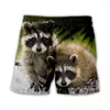 Мужские шорты Phechion Мужчины/Женщины Животные raccoon 3D Print Casual Fashion Streetwear Мужчины Спортивные A273