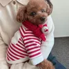 Vêtements pour chiens vêtements pour animaux de compagnie de Noël envoyer écharpe chiens pulls à capuche pour petit pull moyen chaud hiver Design Chihuahua Yorkshire