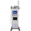 Hydrabeauty Microdermabrasion deep cleaning 12 in 1 oxygen jet aqua peel facial Beauty Machine