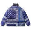 Herrarna ner parkas hip hop vadderad jacka m￤n puffer parka streetwear paisley bandana reversibla tjocka varma rockar harajuku ￶verdimensionerade utomhus 220905