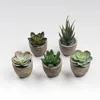 Dekorative Blumen 1/3/6 PCS K￼nstliche Sukkulentenpflanzen Plastik Mini Bonsai gef￤lschter Simulationsball f￼r B￼ro -Wohnkultur