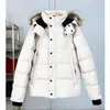 Erkekler Down Parkas Mans of Mens Outerwear Kış Açık Boş Zamanlı Sporlar Yakıt Parker Beyaz Ördek Ceket 220902